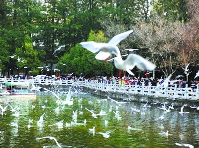 翠湖公園拓展基地