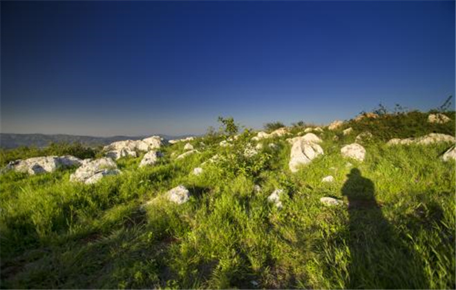 長(zhǎng)蟲(chóng)山森林公園