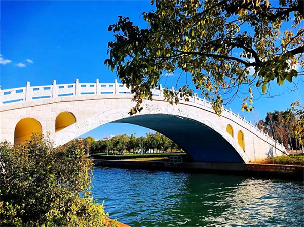 是時候去濕地公園轉轉了，水杉、白鷺、紅嘴鷗……多彩生物已上線！